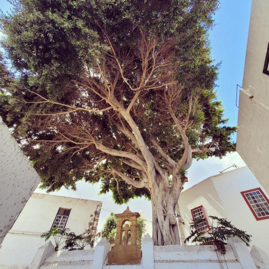 Отель Vv Condevega Тельде Экстерьер фото